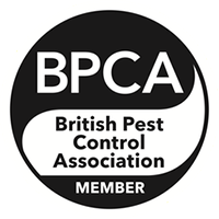 BPCA - British Pest Control Association Member