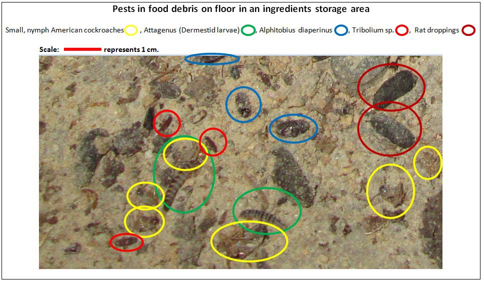 Floor sample analysis