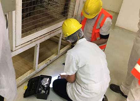 Warehouse Pest Management